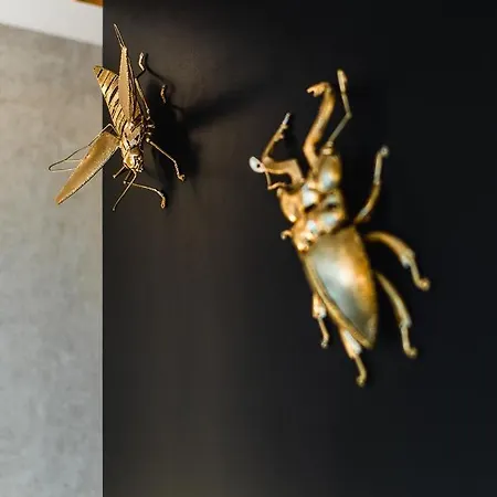 Cserszegi Kockak Cserszegtomaj