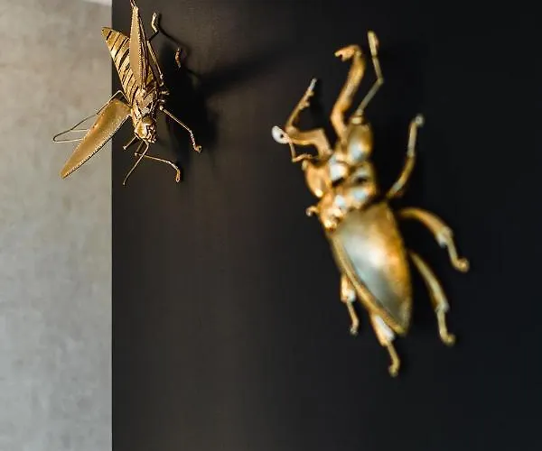 Cserszegi Kockak Cserszegtomaj